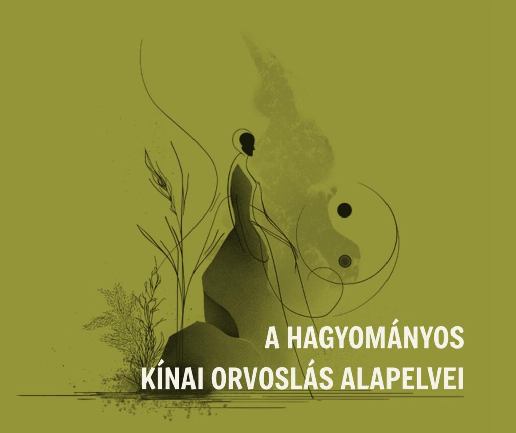 A hagyományos kínai orvoslás alapelvei fejezet fedőlapja